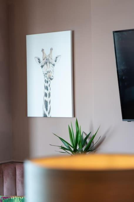 Stylish Beachfront Apartment, Sweeping Ocean Views And Luxury Touches Herne Bay Ngoại thất bức ảnh